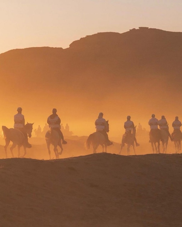 كأس خادم الحرمين الشريفين للقدرة والتحمّل