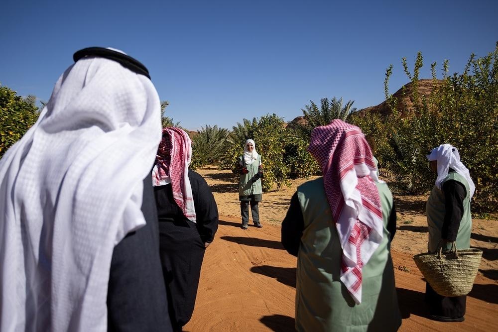 التجربة الزراعية في مزرعة الجود وأنشطة مميزة للجميع