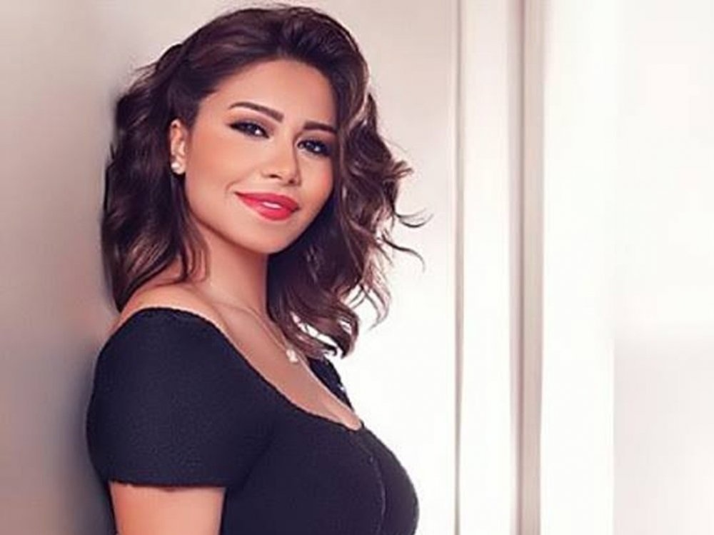 هكذا تتحدى شيرين قرار حبسها