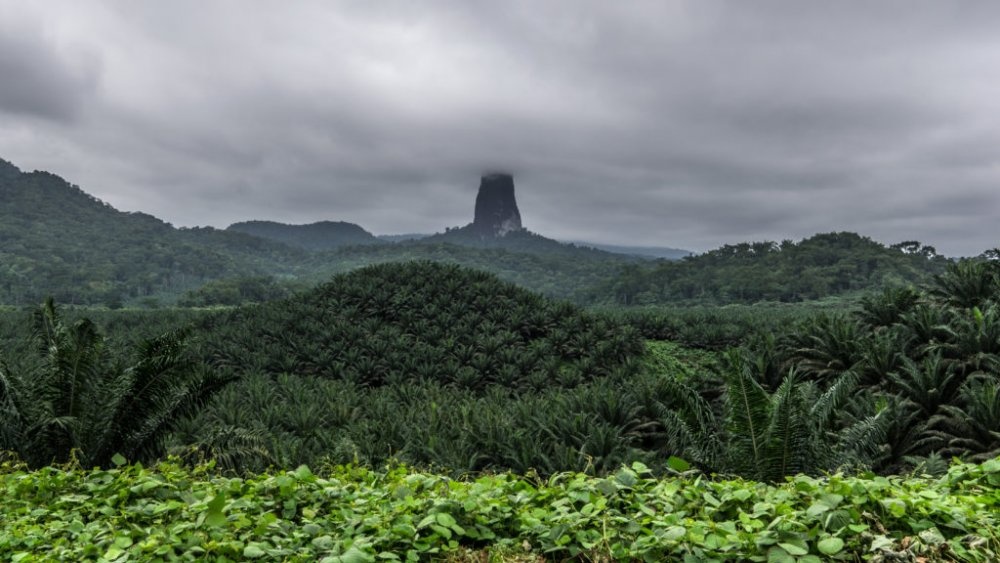 جزيرة ساو تومي São Tomé Island