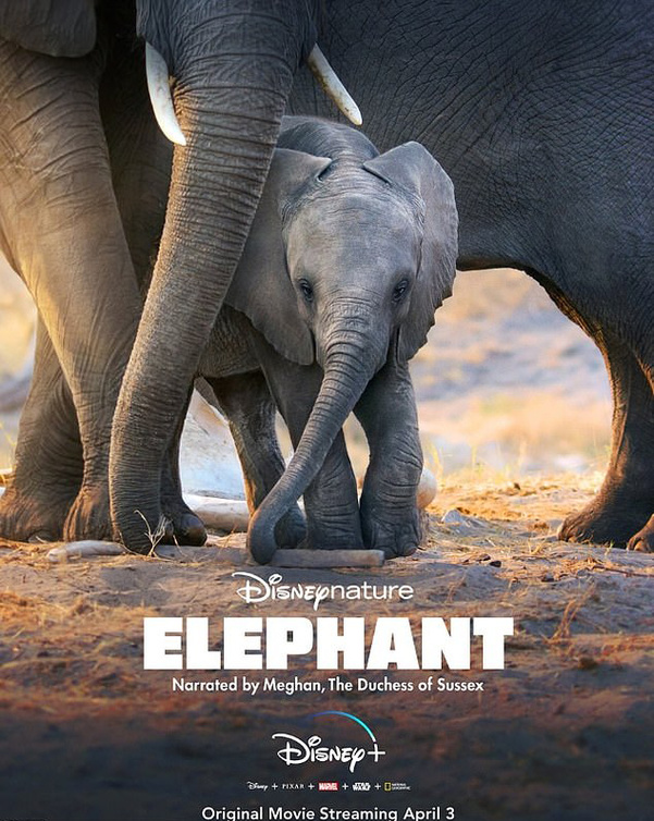 فيلم ديزني الجديد