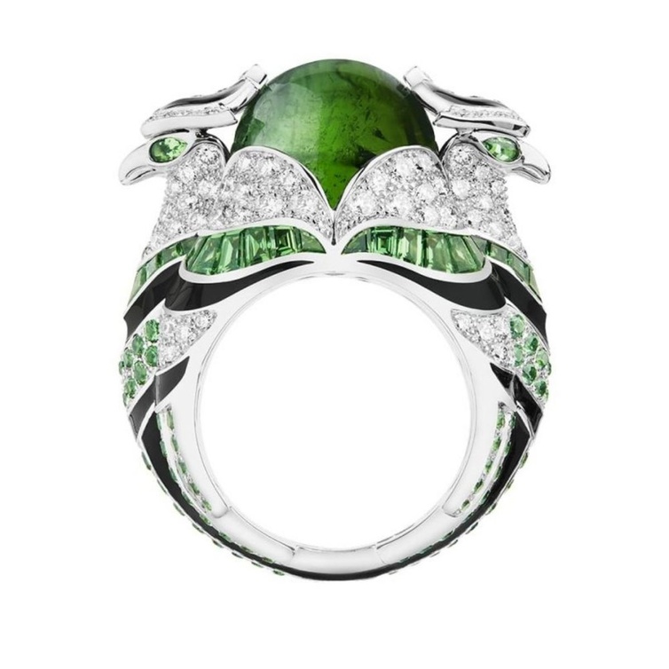 Chinha, the eagle ring