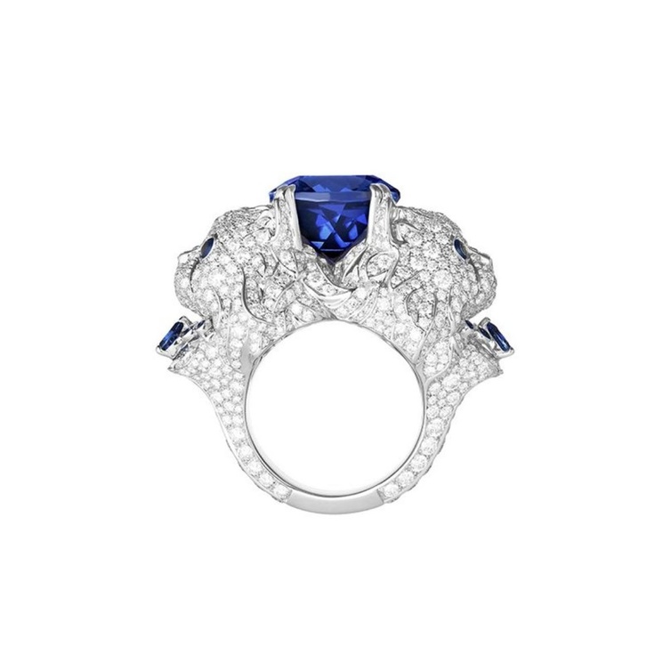 Wladimir, the Cat ring