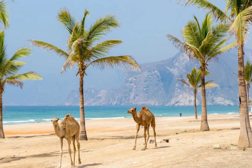 سحر الأجواء في سلطنة عمان
