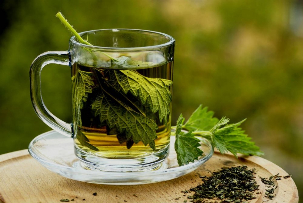 مشروب البقدونس له فائدة كبيرة لحرق الدهون في رمضان