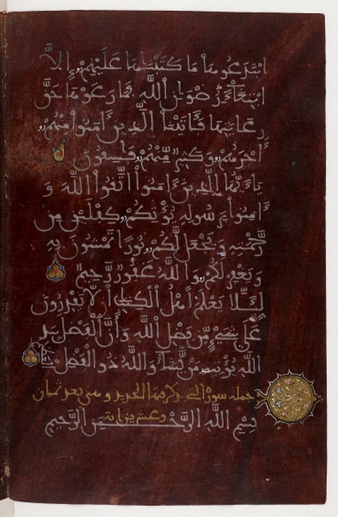 والعديد من المخطوطات النادرة - المصدر وام 