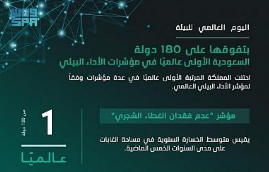 السعودية تحقق المرتبة الأولى عالميا في عدم فقدان الغطاء الشجري