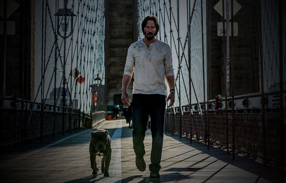 جون ويك John Wick سيذهب للحرب لا محالة