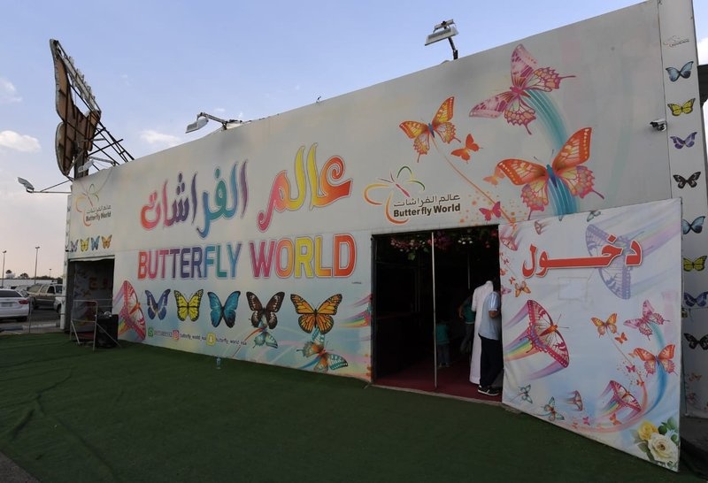 معرض عالم الفراشات في مهرجان أبها