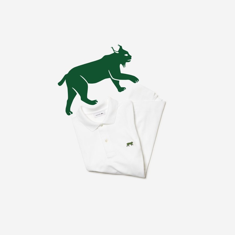 Lacoste × أنقذوا أنواعنا (IUCN).. التمساح يتابع القتال لحماية الحياة البرية