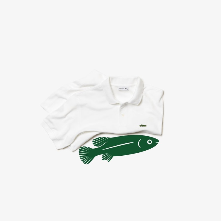 Lacoste × أنقذوا أنواعنا (IUCN).. التمساح يتابع القتال لحماية الحياة البرية