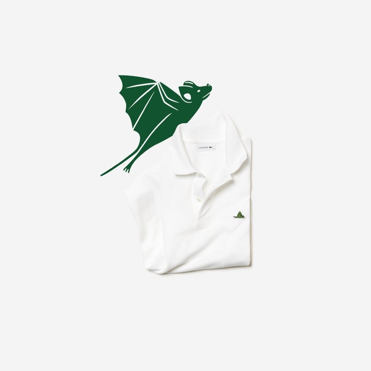 Lacoste × أنقذوا أنواعنا (IUCN).. التمساح يتابع القتال لحماية الحياة البرية