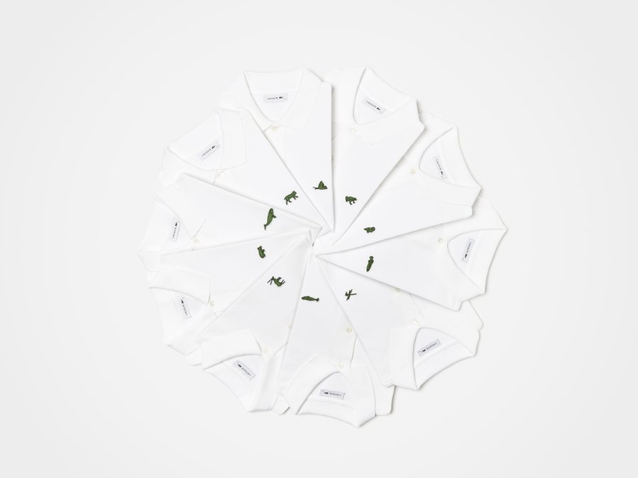 Lacoste × أنقذوا أنواعنا (IUCN).. التمساح يتابع القتال لحماية الحياة البرية
