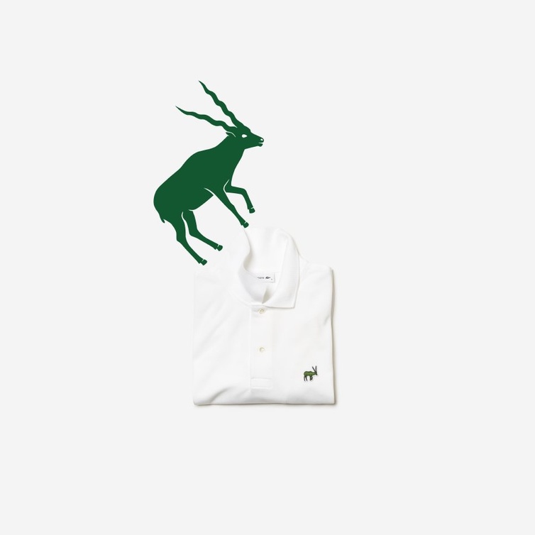 Lacoste × أنقذوا أنواعنا (IUCN).. التمساح يتابع القتال لحماية الحياة البرية