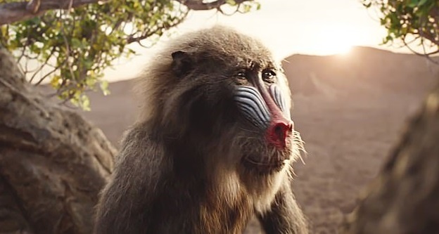 The Lion King