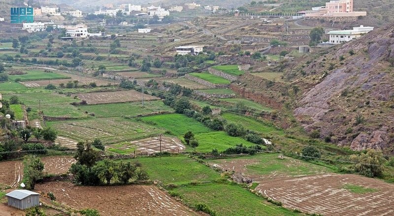 المسطحات الخضراء تزيد من جمال المشهد في طبب - المصدر واس