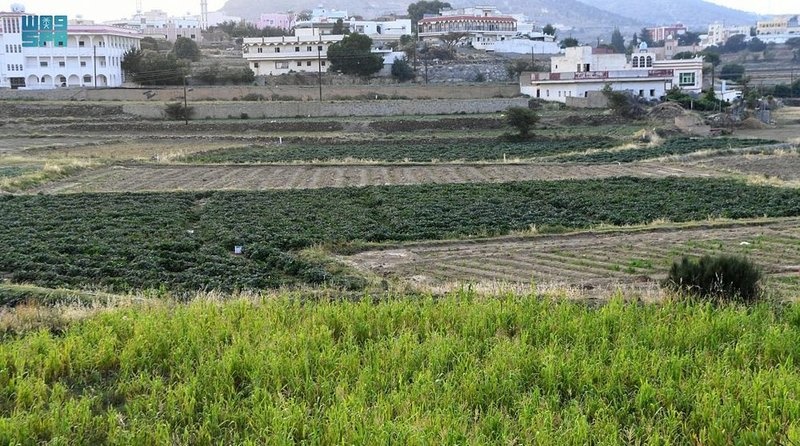 طبب.. وجهة طبيعية خلابة وأجواء تأسر القلوب في عسير - المصدر واس