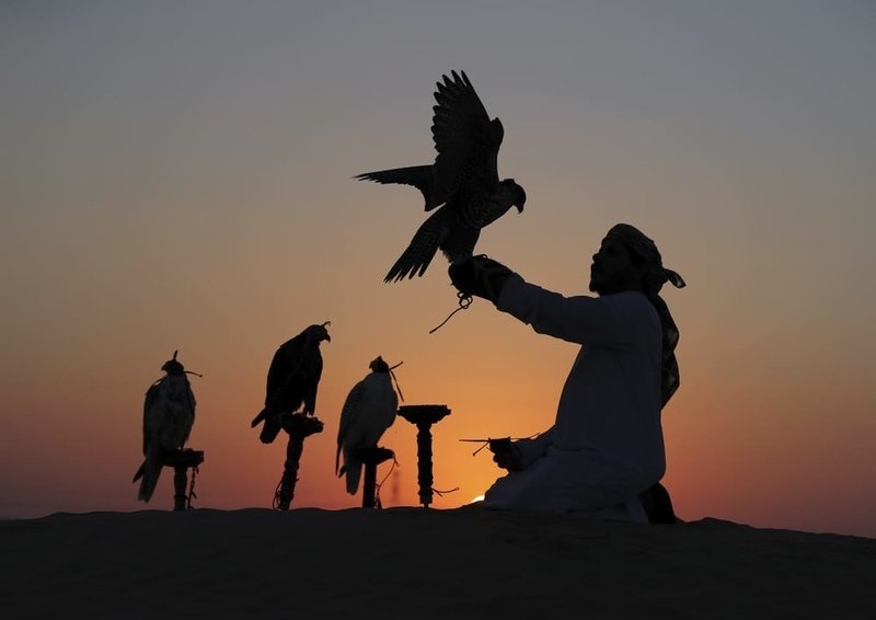 محمية المرزوم وأجواء الطبيعة الخلابة - المصدر وام