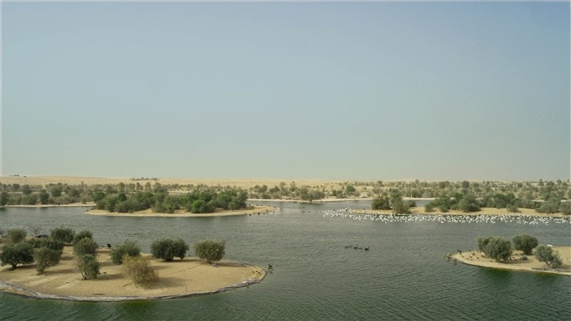محمية دبي الصحراوية وأجواء ساحرة لعشاق الطبيعة - المصدر المكتب الاعلامي لحكومة دبي 