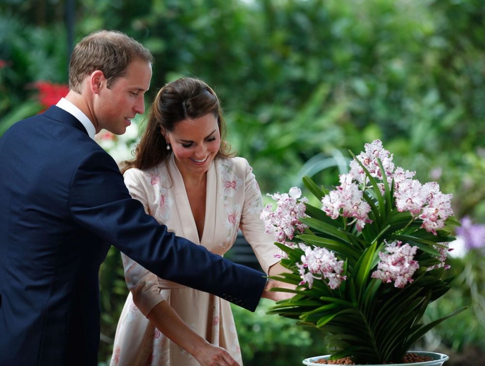 الامير وليام William و كيت Kate قريبا ملكين على بريطانيا