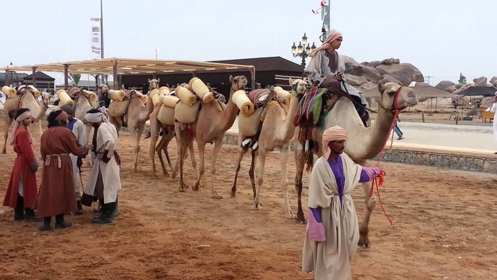 مسيرة الجمال في سوق عكاظ