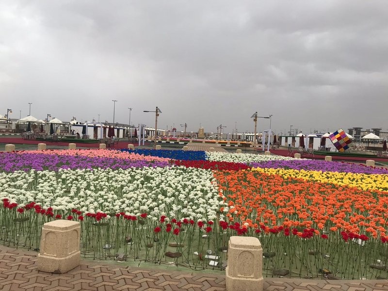  سجادة الزهور المضيئة خلال النهار