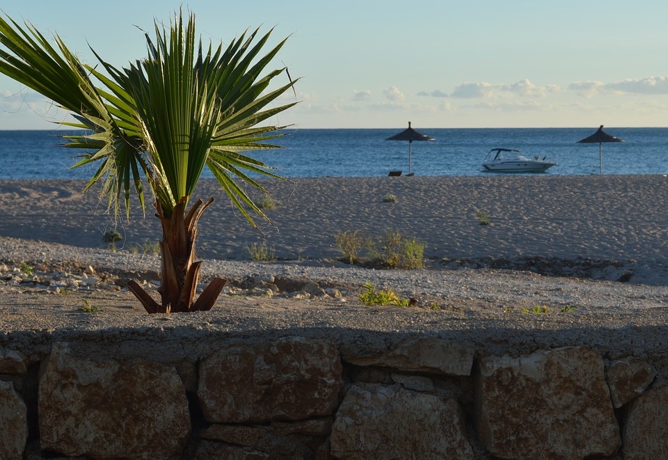 Himara