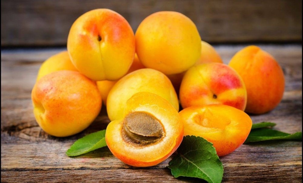 المشمش مفيد لعلاج الأنيميا عند العروس