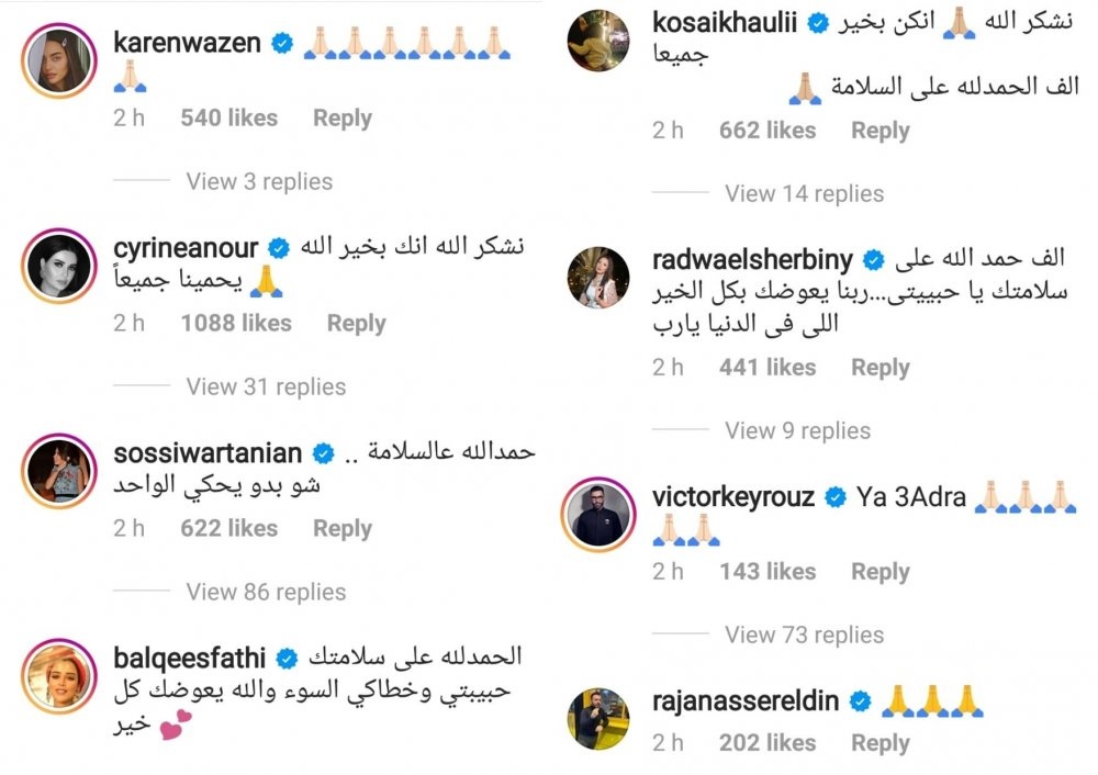النجوم يساندون الفنانة نادين نسيب نجيم