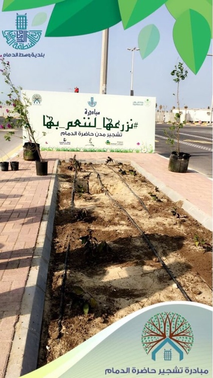 مبادرة نزرعها لننعم بها