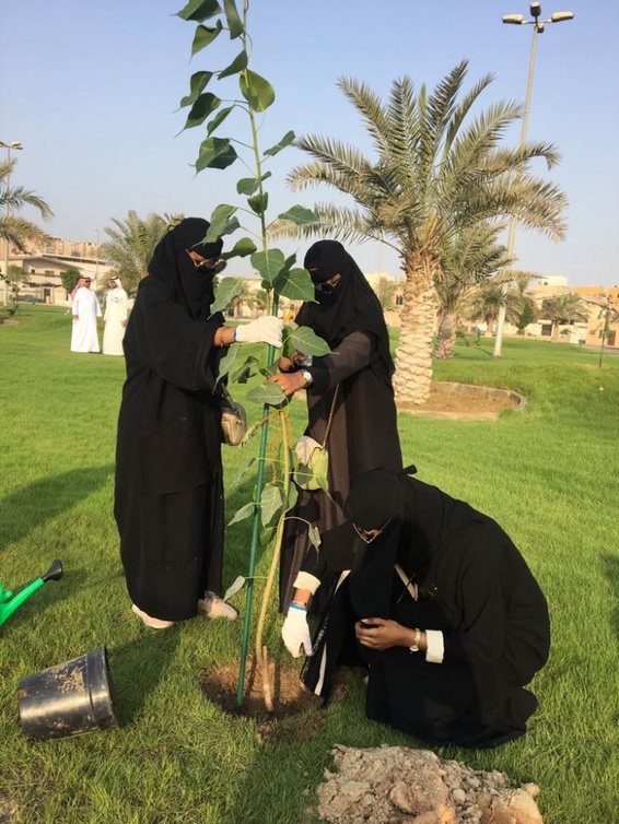جانب من عمل المتطوعات في المبادرة