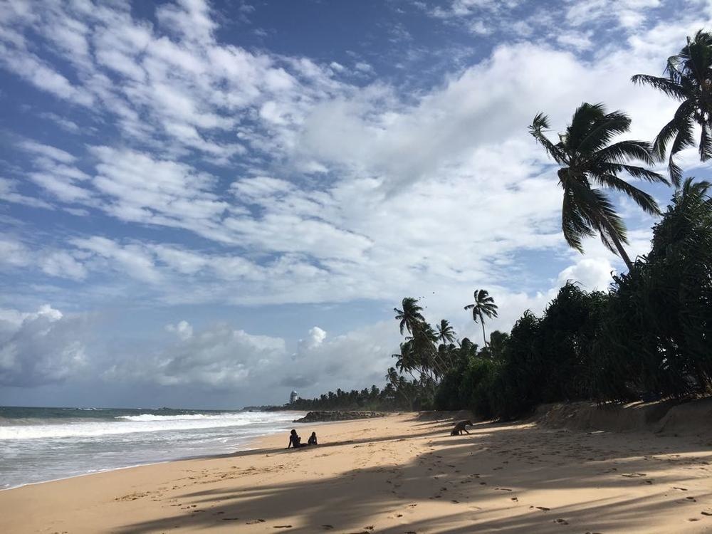 شاطئ هيكادوا Hikkaduwa Beach