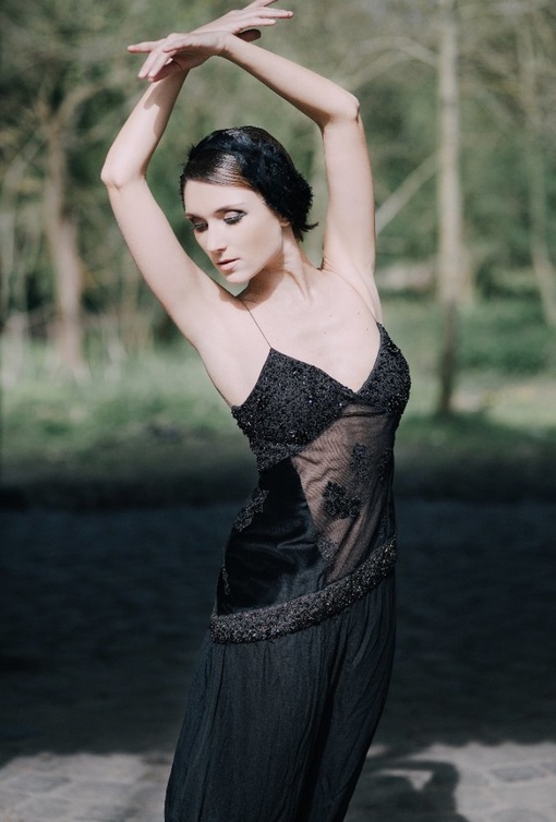 مجموعة Black Swan من Sakina Paris