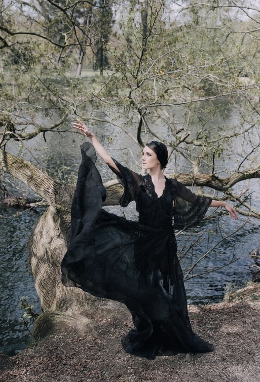 مجموعة Black Swan من Sakina Paris