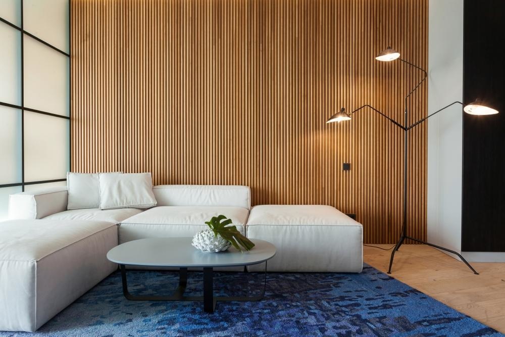 minimalist غرفة معيشة بطابع