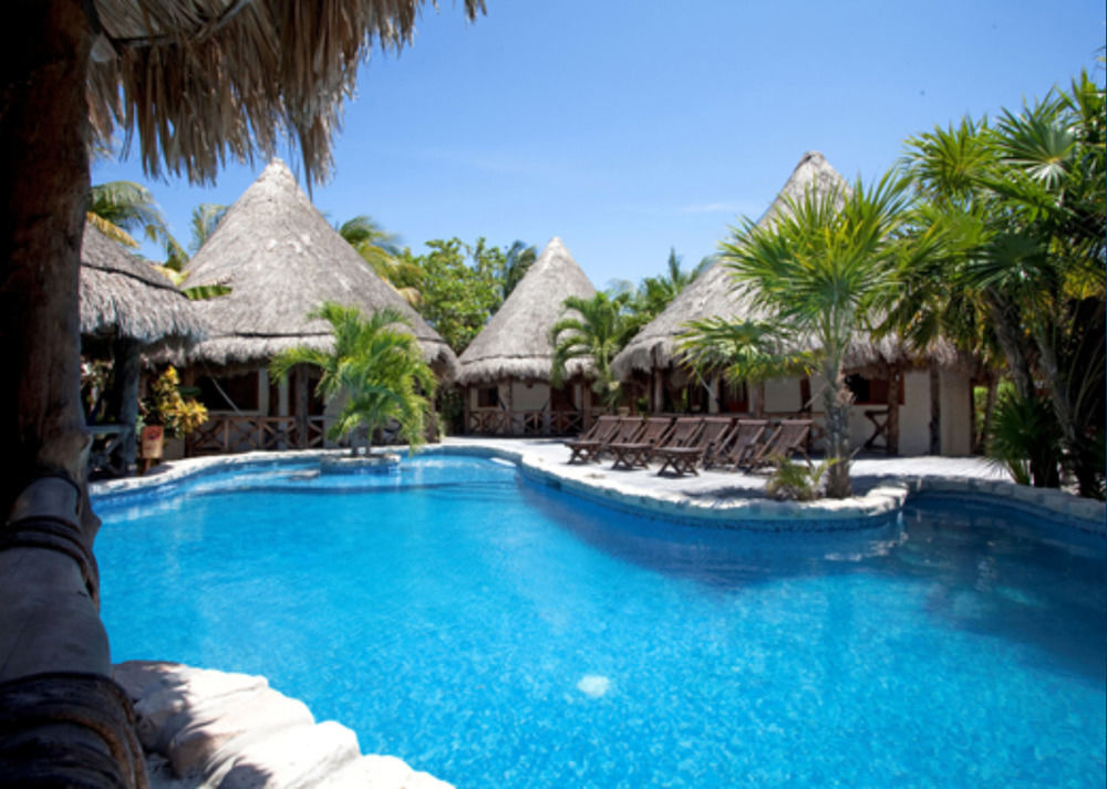 منتجع Xaloc – حوض السباحة Xaloc Resort - Pool.