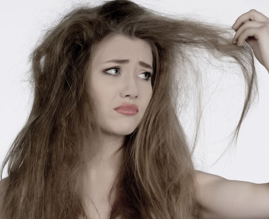 يعالج ماسك الصبار وزيت الزيتون مشكلات الشعر المجعد التالف
