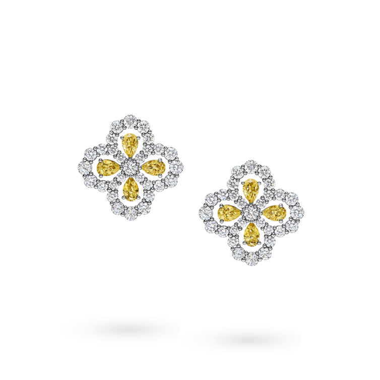 أقراط Loop من هاري وينستون Harry Winston